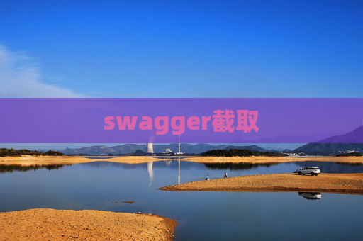 swagger截取